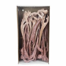 Geweihholz klein pearl 2 Farbe