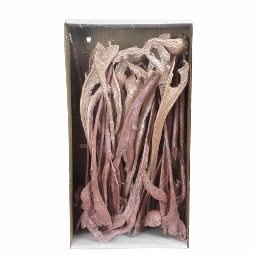 Geweihholz klein pearl - 2, farbe