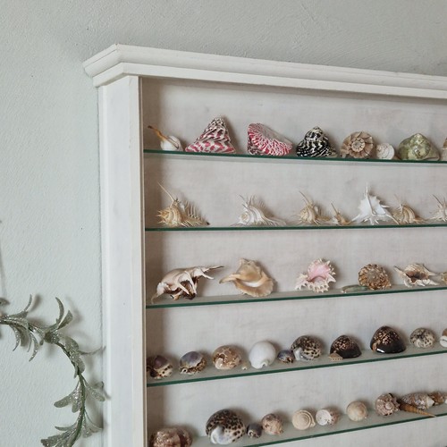Hänge sammlervitrine von - sammlervitrine,, 1