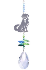 Entzückender Welpe Kristall