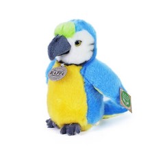 Baby papagei blau gelb - baby, cm