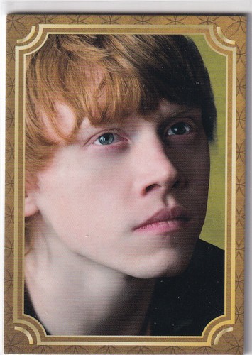 Panini harry potter - panini,