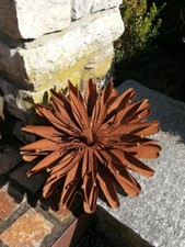 Edelrost Blume Aster