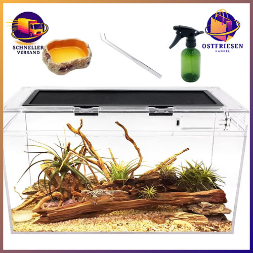 Terrarium komplettset - terrarium,