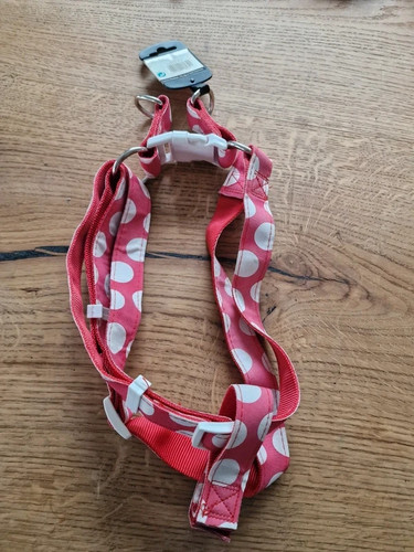 Hundegeschirr geschirr - hundegeschirr,