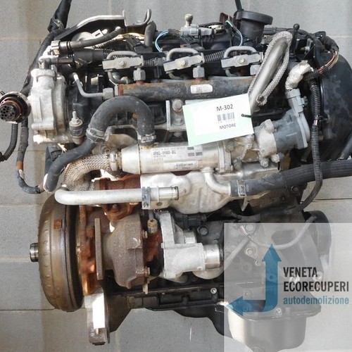 Jaguar motor gebraucht - motor,