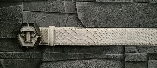 Philipp plein belt matt - matt, python