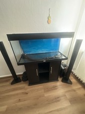 Juwel Rio 180 Aquarium mit Unterschrank und EHeim professional 4+ Aussenfilter.