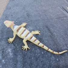 Lebensechte Gummi Eidechse