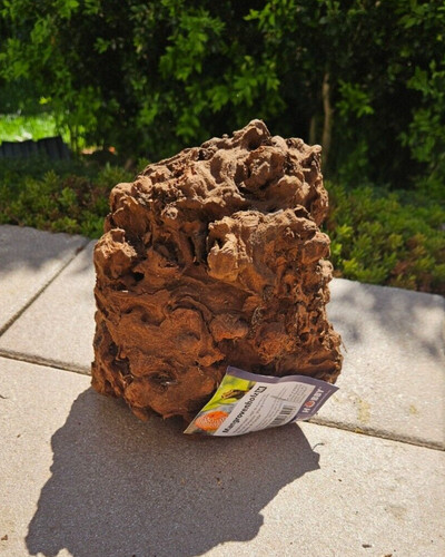 Mangroven wurzel 16x10x16cm - wurzel, m