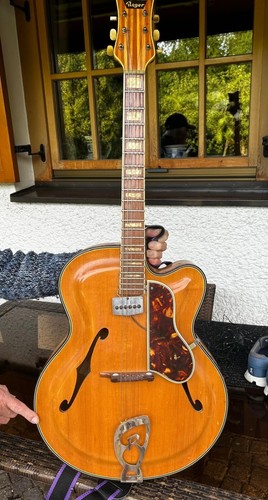 Roger gitarre luxus cut - roger,