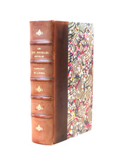 die HUNDERT NACHRICHTEN, Ill. Robida, Lib. illustriert, sd