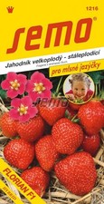 Erdbeeren Samen Erdbeersamen