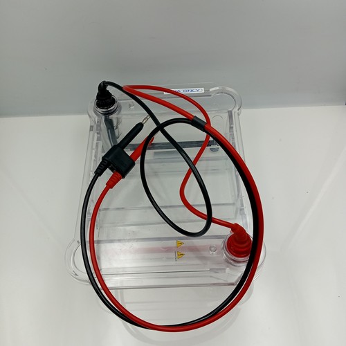 Bio rad sub cell wide - sub,