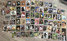 Katzen Postkarten Bilder