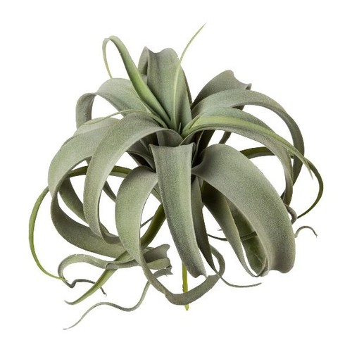 Artplants kunst sukkulente - kunst,