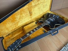 Elektrische Akustikgitarre