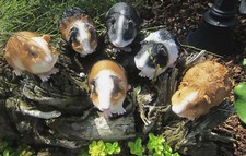 Wie echt sind diese Meerschweinchen Meerlis Figur Deko Garten Meerschwein Hotant