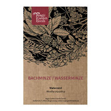 Bachminze / Wasserminze (Mentha aquatica) - ca. 400 Samen