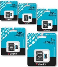 Kingston 4K Canvas Go Plus