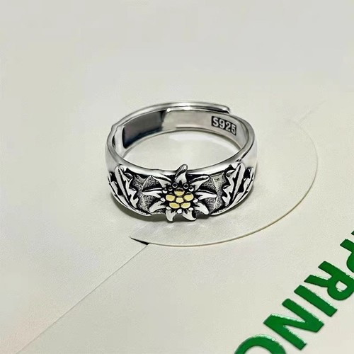 Galvanisierter kupferring - galvanisierter, im
