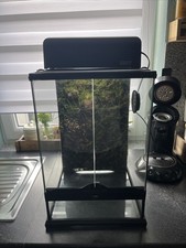 Kleines Terrarium, Moos - Dekoration, Lampe