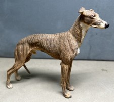 Windhund Whippet rot