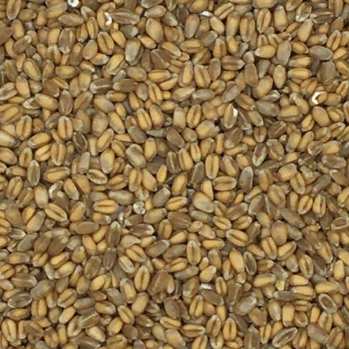 Gladen weizen 2 5kg - weizen,