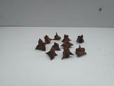 10Stk winterhart Nuss Wassernuss Trapa natans Schwimm und Teichpflanzen1,59€/Stk