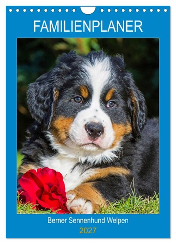 Familienplaner berner - familienplaner,