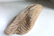 Schwemmholz Treibholz Skulptur   L  24cm ♥️ - Treibgut Jahresringe