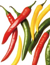 Paprika Pepperoni De Cayenne Mix Samen - Für Pikante Gerichte