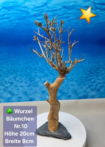 Aquarium wurzel bonsai - 🌳aquarium,