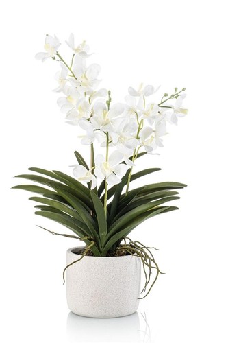 Artplants deko vanda - artplants, orchidee