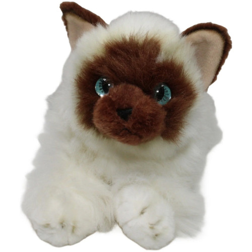 Aurora katze kuscheltier - aurora,