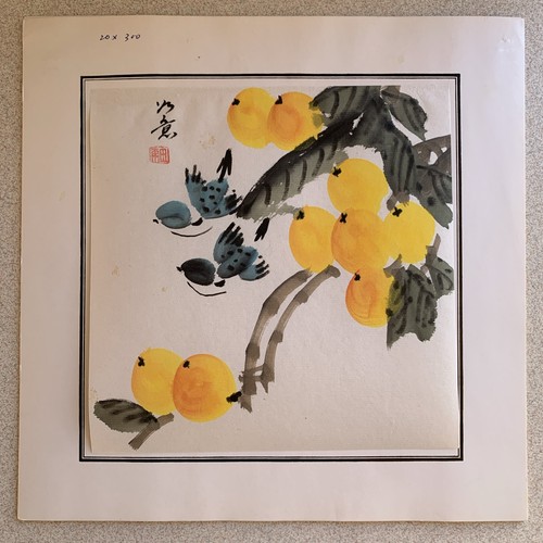 Wang kai senfkorngarten - wang,