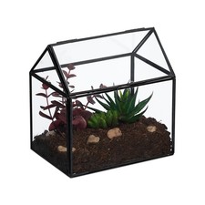 Pflanzenterrarium Kakteenhaus Tischterrarium Zimmergewächshaus Florarium klein