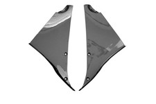 Carbon Verkleidungsteile für