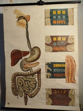 Schulwandkarte DDR Rollkarte