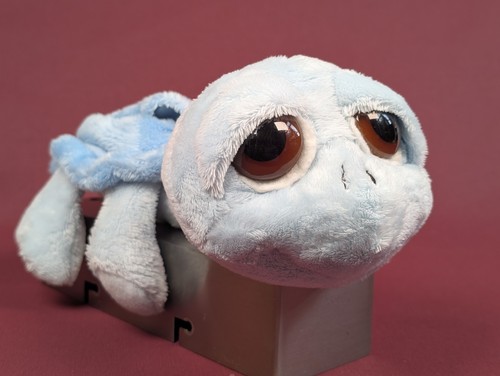 Blaue schildkröte splish russ - blaue,