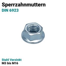 Sperrzahnmutter Flanschmutter