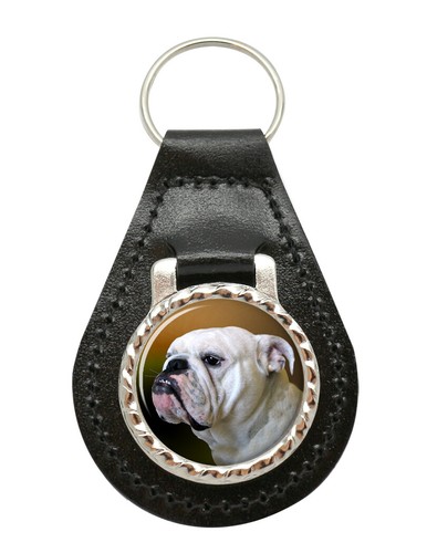 Englische bulldogge leder - englische,