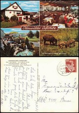 Ansichtskarte Michelstadt Odenwalder Cafestube - Würzberg 1983