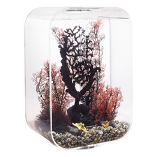 Biorb aquarium life mcr - 45,