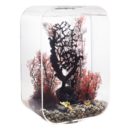 Biorb aquarium life mcr - biorb,