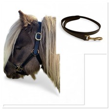 MINI SHETLAND SHETLAND LEDER