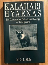 Kalahari hyaenas the - hyaenas, :