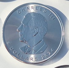 1 oz Silber Maple Leaf 2024 |