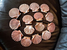 15 flache Jakobsmuschelschalen 9 cm maritime Namensschilder Spiegelrahmen Mobile