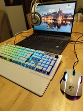 hp victus gaming laptop Mit Maus, Tastatur, Headset, Bildschirm, Mikrofon